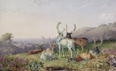 Deer in a Landscape by George the Younger Barret